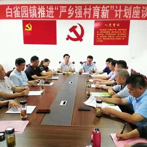 白雀园镇：党建引领兴产业 逐村观摩促提升