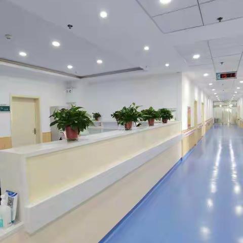 "医"路前行，牢记使命