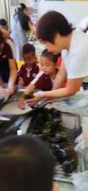 艾迪幼儿园浓情端午，快乐六一主题活动。