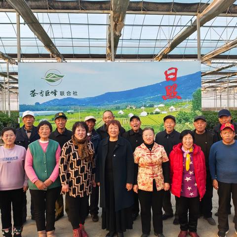 南茶北引第一镇“茶乡巨峰”