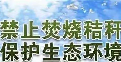 “小手拉大手，共树文明新风”—抵制秸秆燃烧，从你我做起