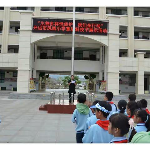 生物多样性保护，我们在行动——开远市凤凰小学首届科技节活动