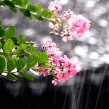 相约烂漫春天，携手七彩社团——襄垣县城内第二小学第一周社团活动