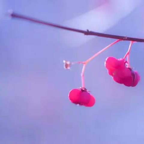 感谢我可爱的孩子们!陪伴我度过许多美好时光