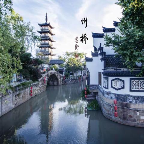 嘉定州桥景区随拍