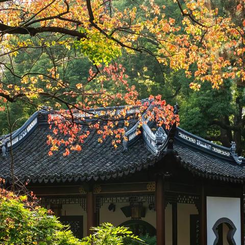 醉在深秋的古漪园