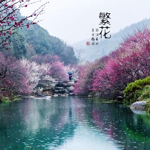 东方梅园美如画