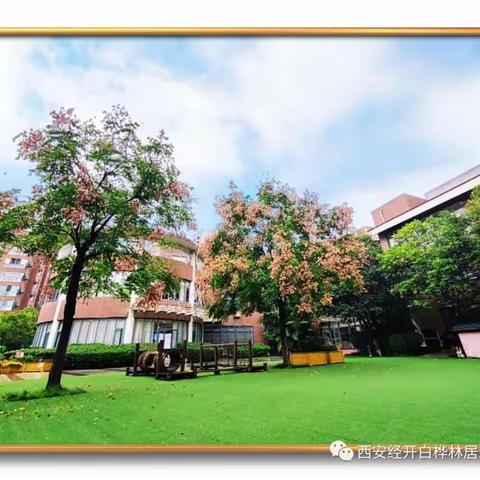 【白桦微课】小膳食大营养•糯米排骨