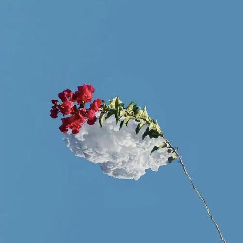 【小二班】快乐童年之新学期新欢喜