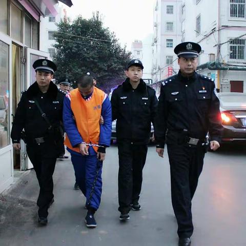 打击犯罪零容忍 破获案件扬警威