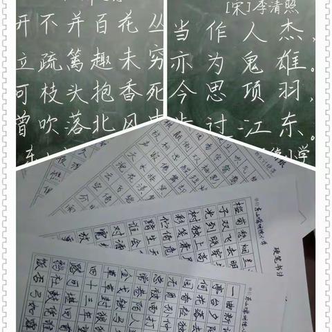 扬认真写字之帆，起规范作业之航。