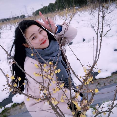 九九消寒诗：以“客种秋思，语怨前亭柳”“香侵草树，神迷故园春”入韵