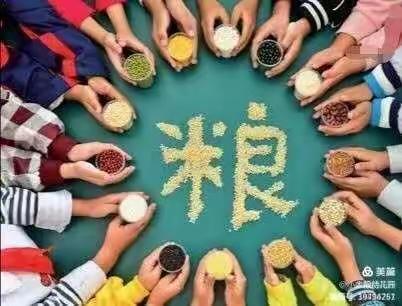 【北京鹏搏千贝·千宝幼儿园】      ——“世界粮食日”