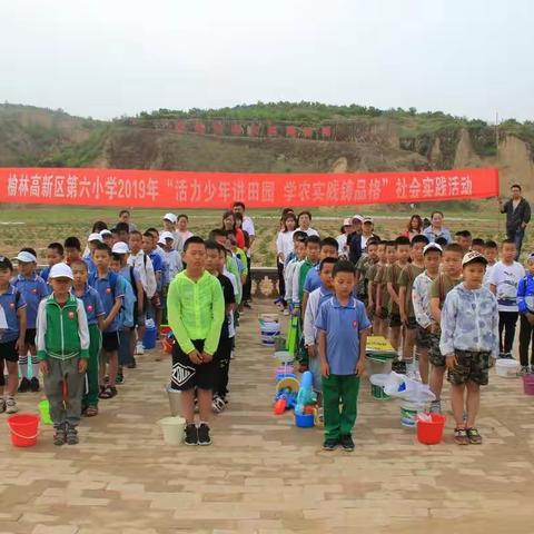“活力少年进田园 学农实践铸品格”  ——  记榆林高新区第六小学2019年第二期学农实践活动