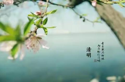 中二班"清明节"活动