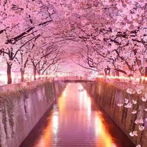 乘着这春暖花开——