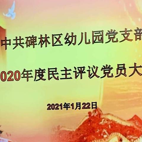 民主评议做总结   凝心聚力迈征程——碑林区幼儿园党支部民主评议党员大会纪实