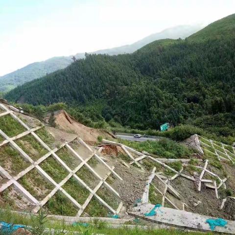 关于“瑞陇高速公路上行线K3+950米处山体坍塌”应急抢险工作进展情况汇报