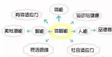 【怀德．动态】快乐体能，健康成长——怀德园体智能课程