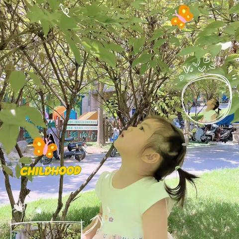 七月成长记录—桐桐