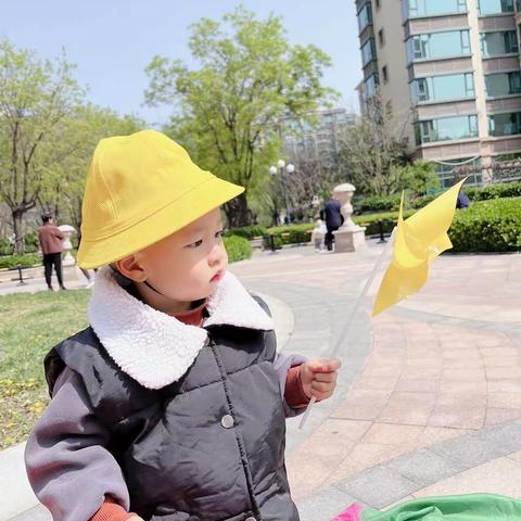 四月成长记录—臭宝