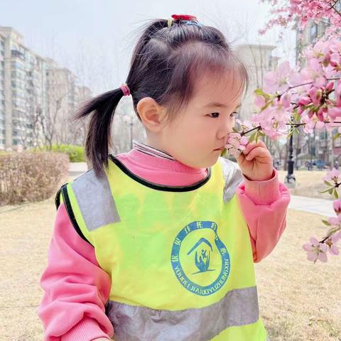 三月成长记录—念念