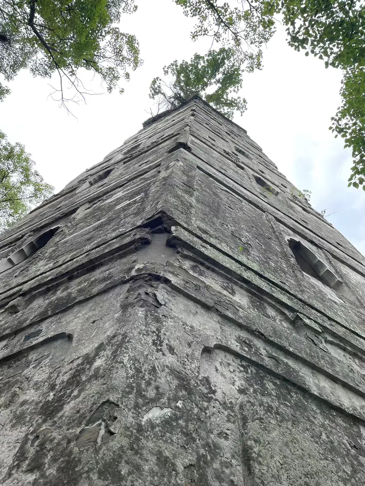 温州行—江心屿2025