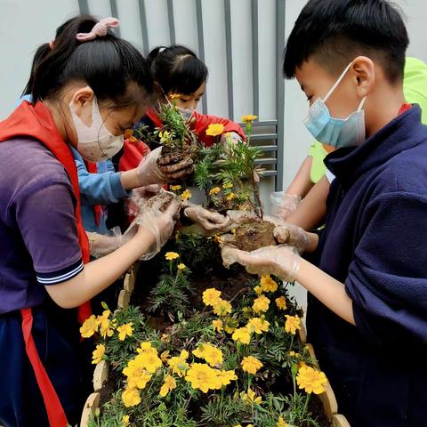 【石家庄市建胜路小学】洗城净天，扮靓上学路