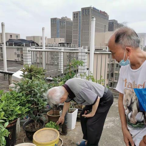 难忘的锦绣社区志愿服务经历