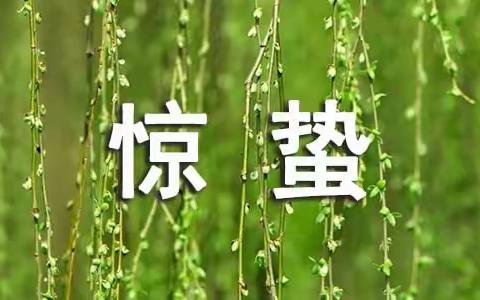 春天到，惊蛰叫，（卓越幼儿园）带你了解二十四节气“惊蛰”的含义