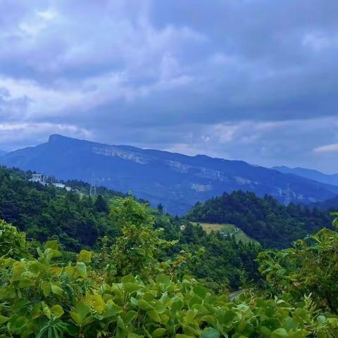 2022特训营第三期