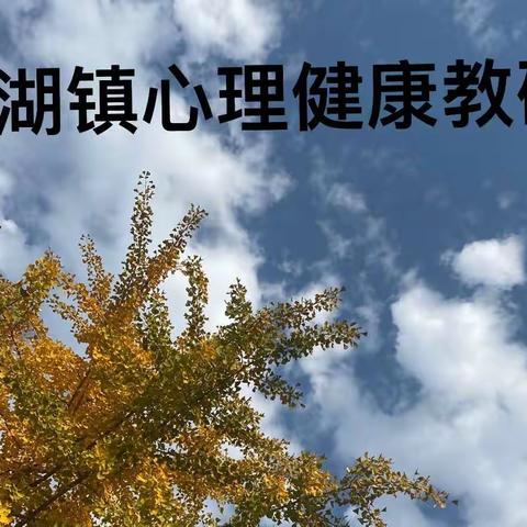 新郑市龙湖镇小学第三次心理教研