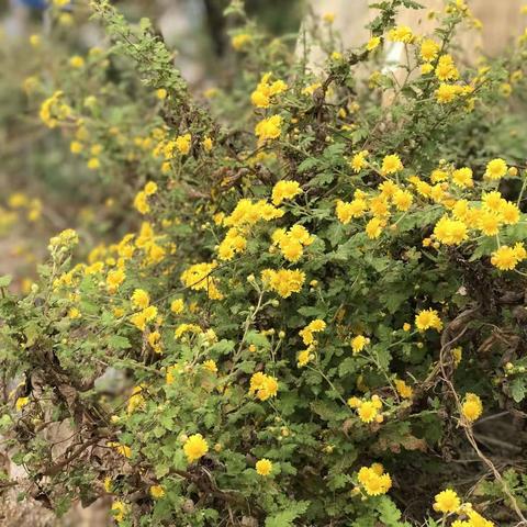 一些美丽的风景