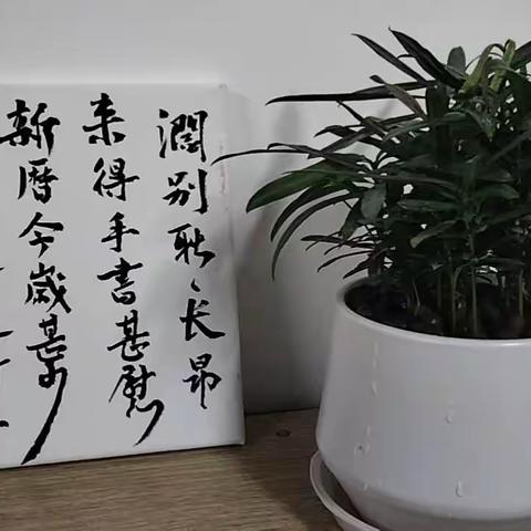 教育机构的生存发展的讲课视频的感悟