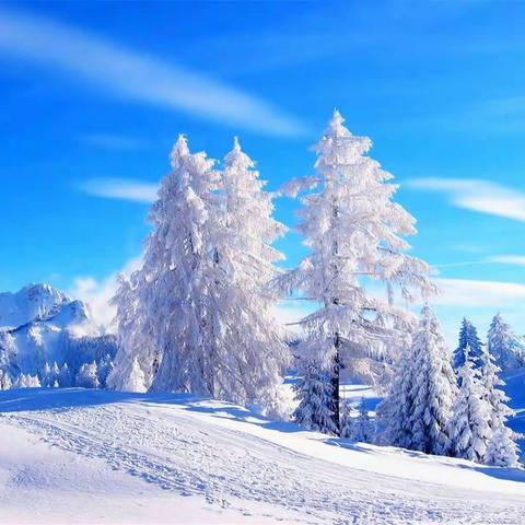 瑞雪·思乡