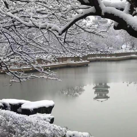 农历大雪到