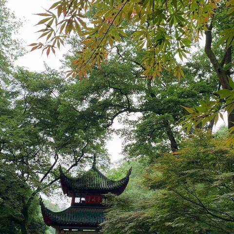 长沙2日游——2019.5