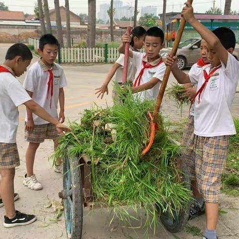 玉不琢不成器，人不学不知义