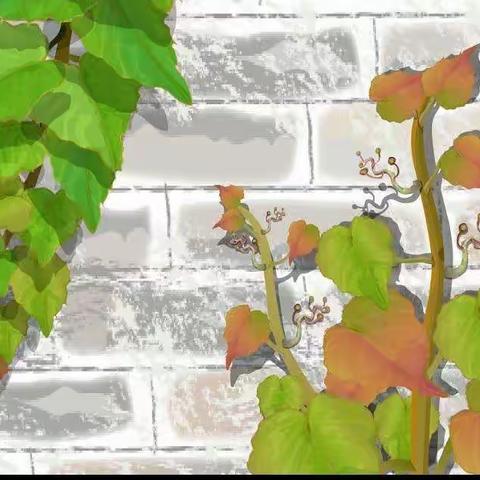 双减路上，你我同行