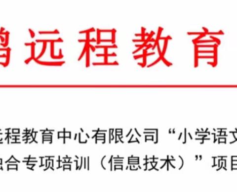 协力同心 力争有为——2019年“小学语文与信息技术融合专项培训”项目