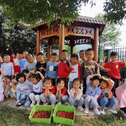 “感恩自然，快乐秋收”——六街街道中心幼儿园秋收节