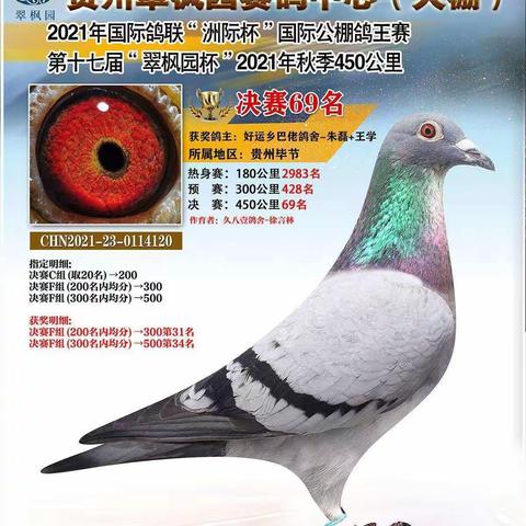 拥有GPS的神奇动物👍👍👍
