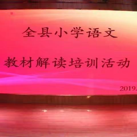 2019年阳谷县一二三年级语文统编教材解读培训