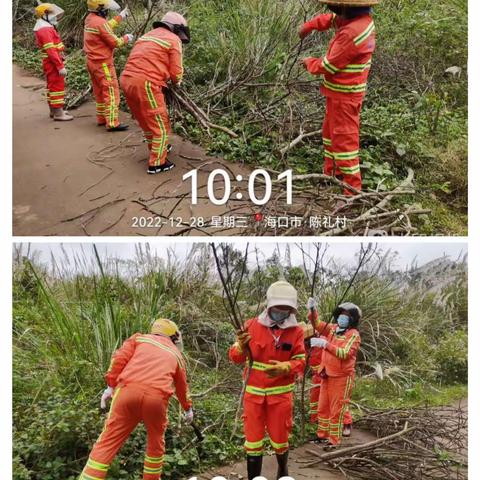 福龙马 | 龙华区12月28日秸秆农膜清理工作情况