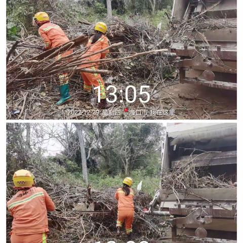 福龙马 | 龙华区12月29日秸秆农膜清理工作情况