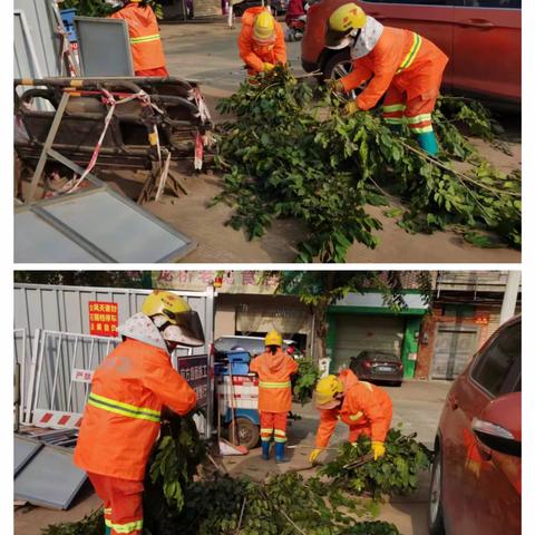 福龙马 | 龙华区1月1日秸秆农膜清理工作情况