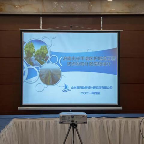 护城堤工程防洪影响补救措施设计通过专家评审