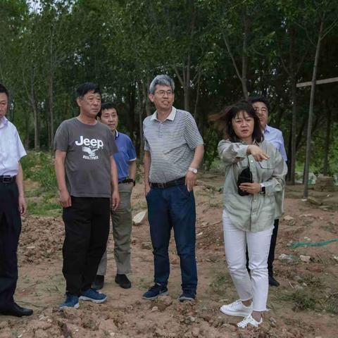 南水北调东线山东干线公司现场察看长平滩区护城堤工程