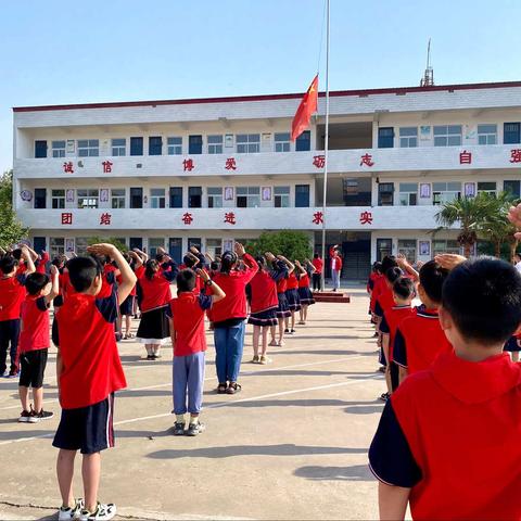 冢头镇实验小学开始招生啦！！！