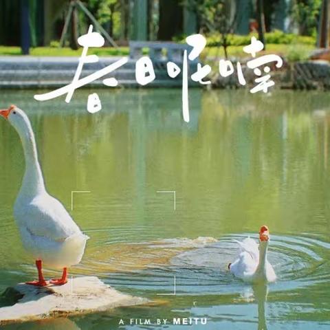 与书为邻度流年